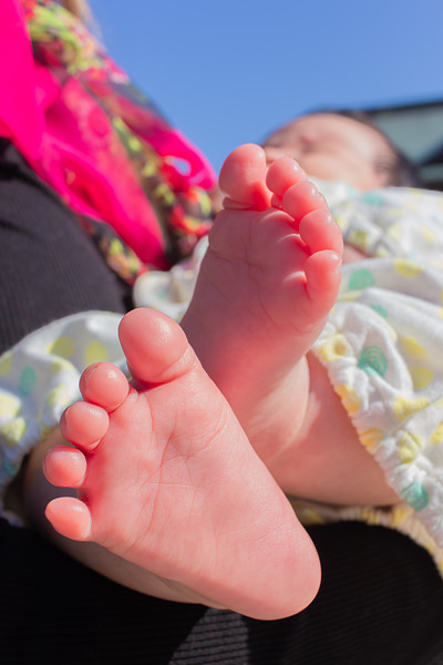 「まつもとさえ」の作例写真