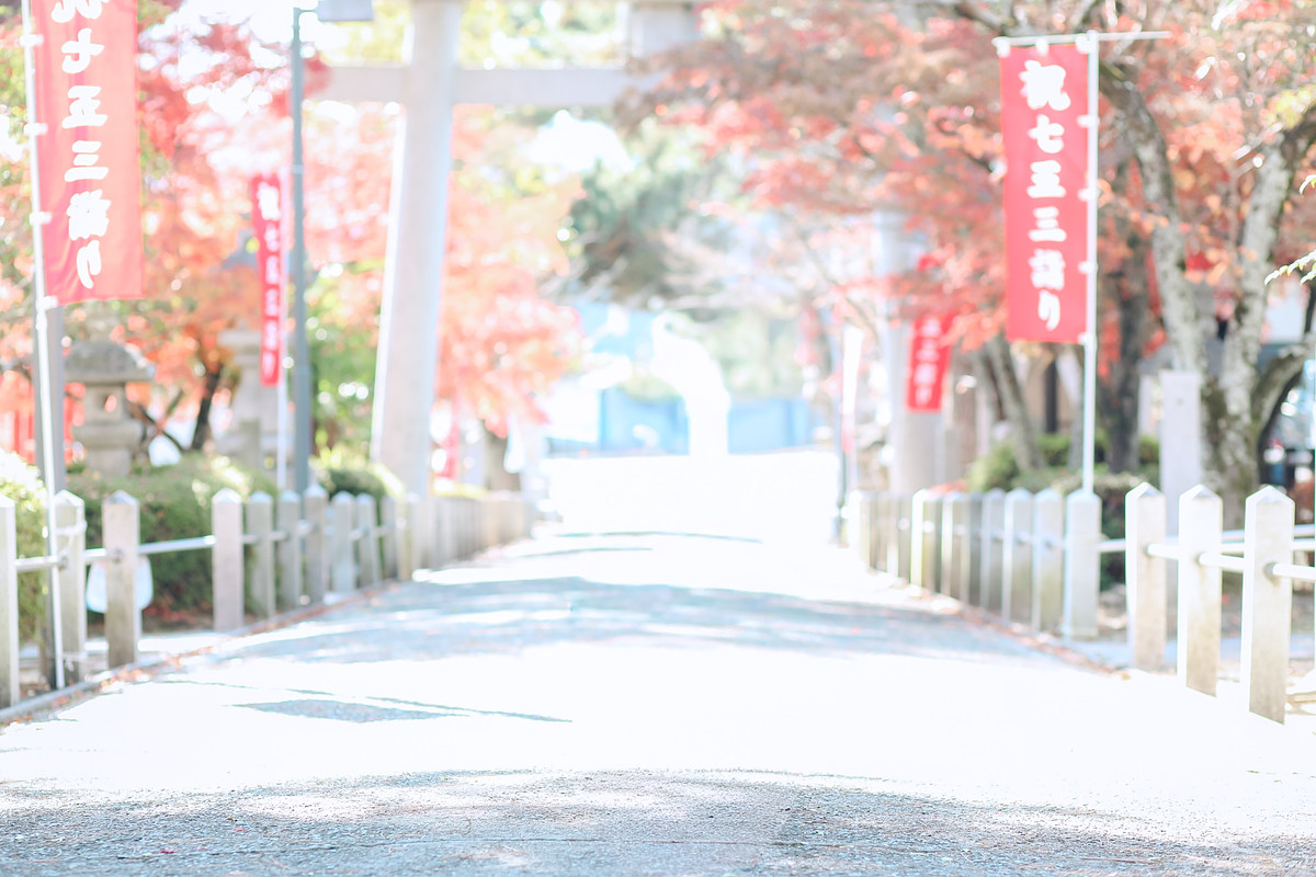 広島県でお宮参りの撮影が可能なカメラマン「Shiori」の作例画像