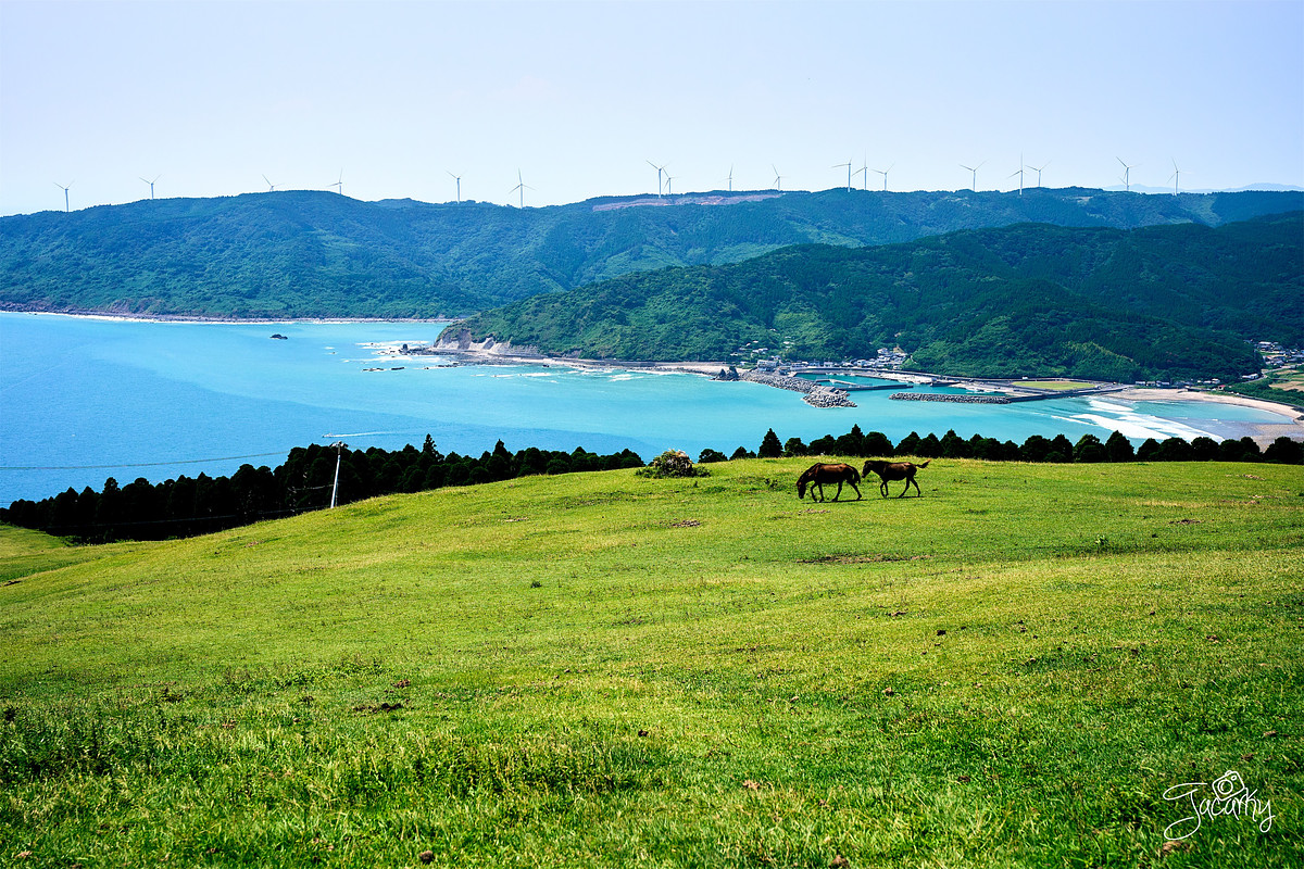 都井岬での前撮りの撮影実績画像