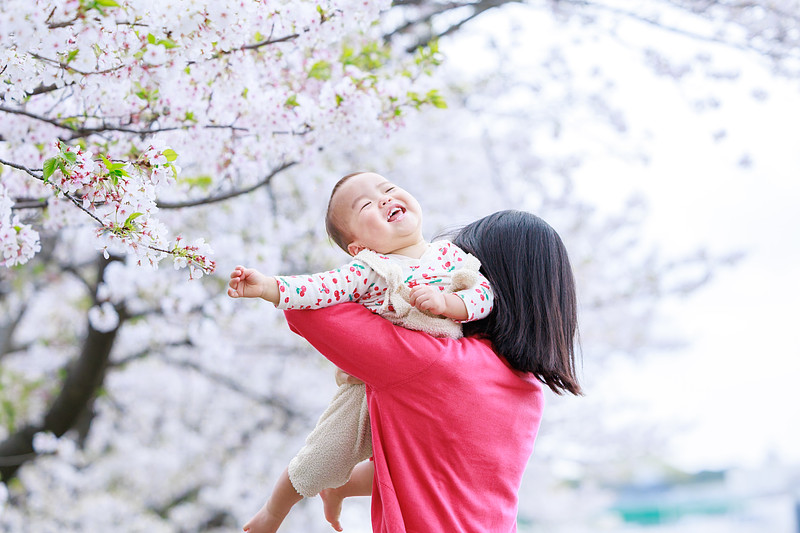 「minapi」の作例写真