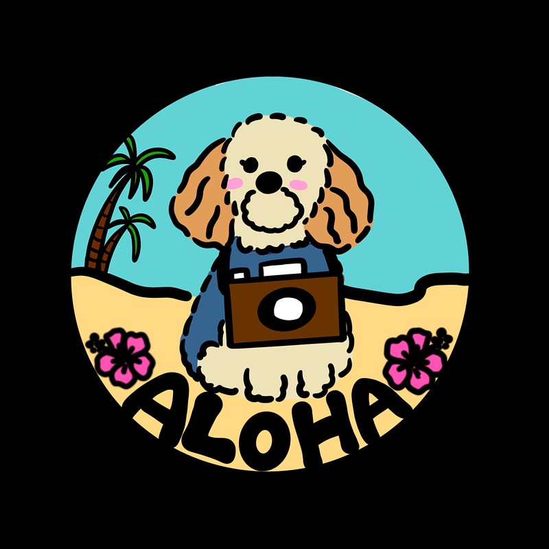 京都府での撮影が可能なカメラマン「Aloha」の作例画像