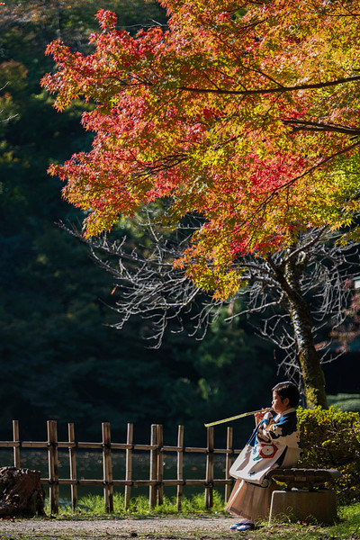 福井県で七五三の撮影が可能なカメラマン「シミズカツヤ」の作例画像