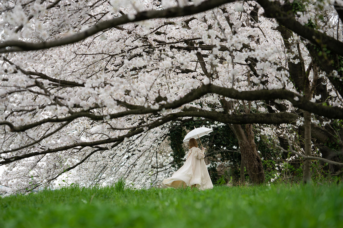 埼玉県での撮影が可能なカメラマン「ヒカリノハコ 店長ヒロ」の作例画像