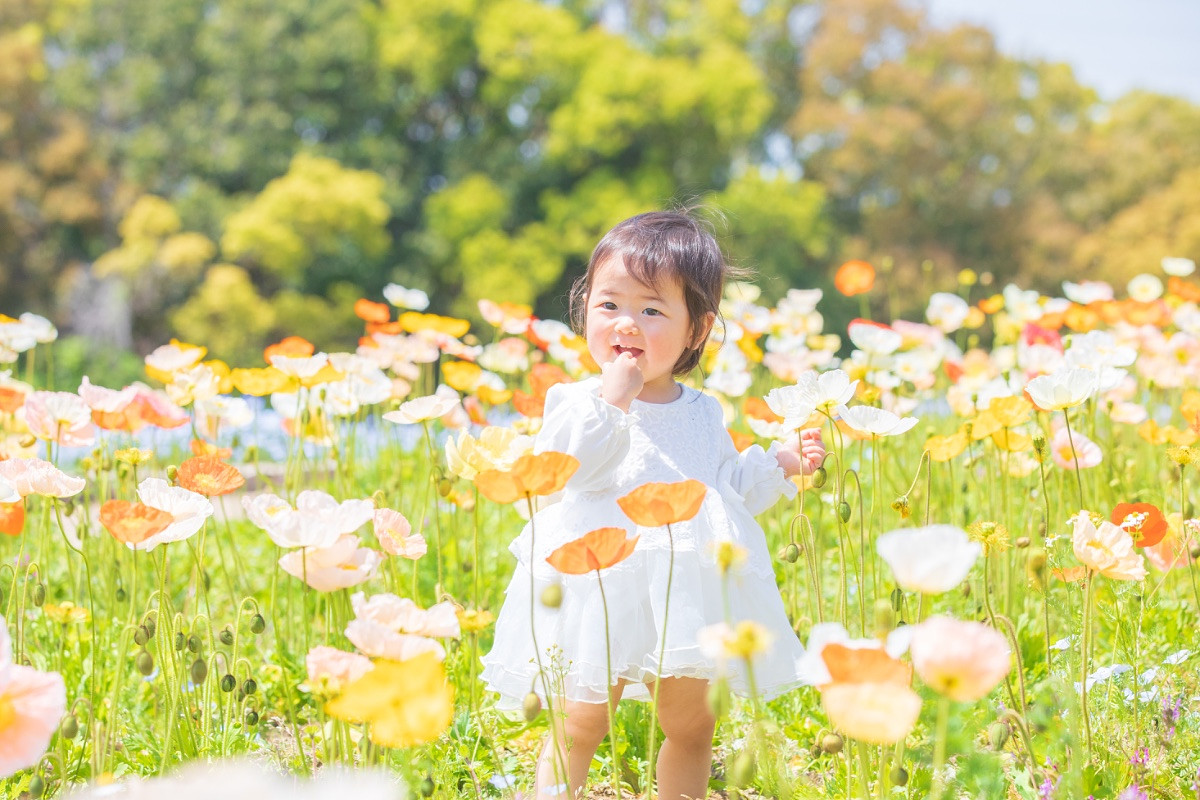 子供撮影撮影プランの写真