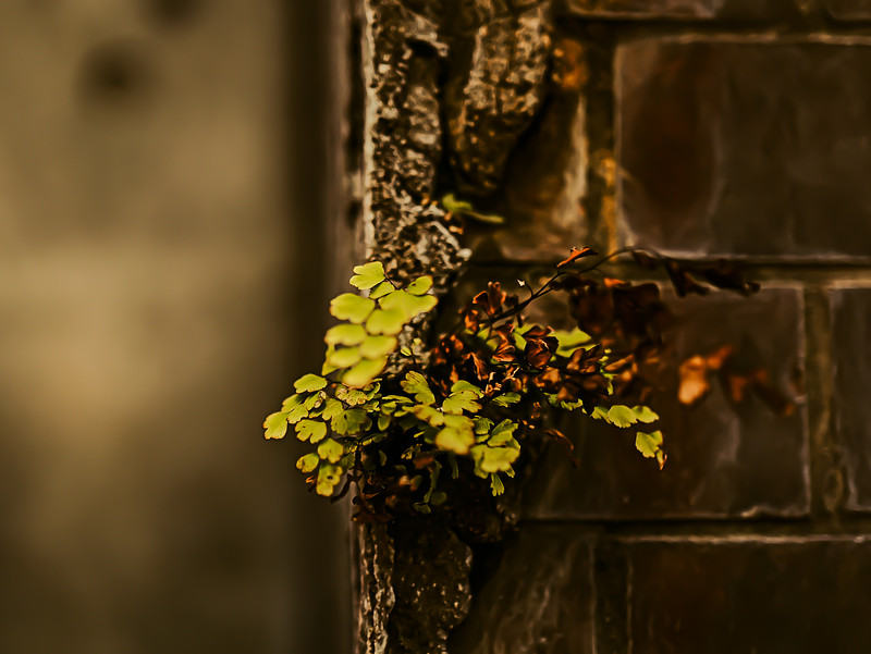 神奈川県での撮影が可能なカメラマン「Masayuki sugimoto」の作例画像