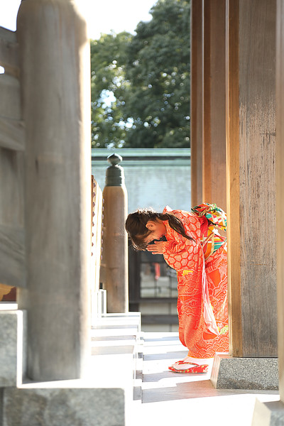 「宮本 環」の作例写真