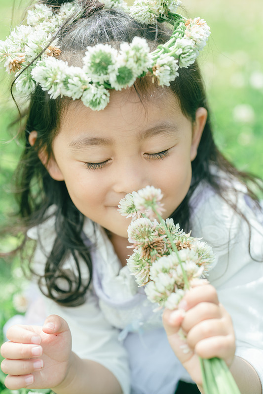 「ちえ」の作例写真