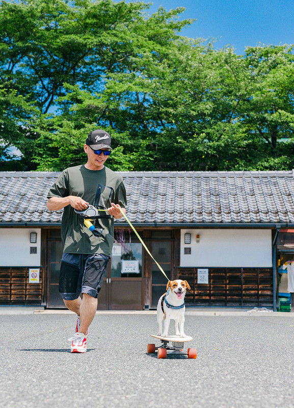 「Aloha」の作例写真