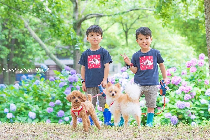 「前田美晴」の作例写真