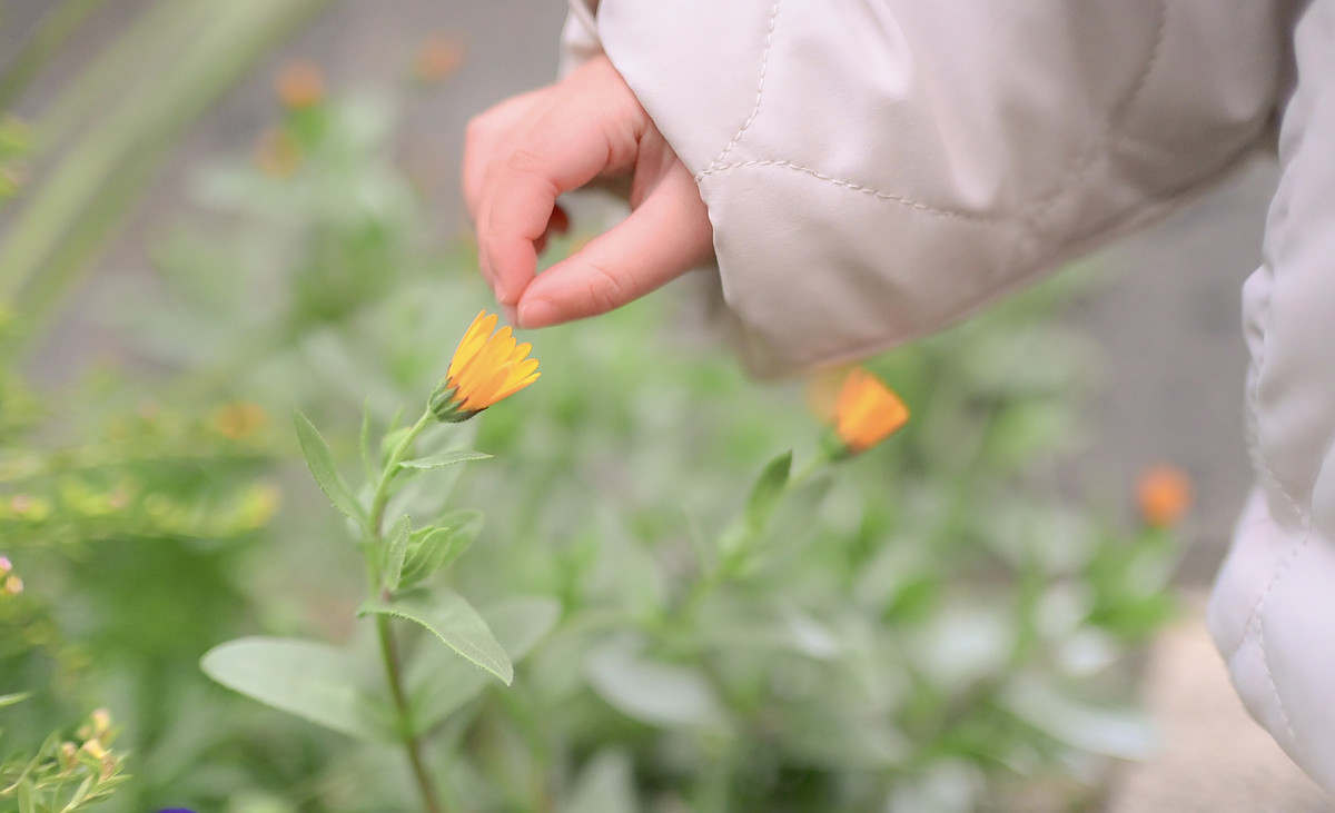 岡山県での撮影が可能なカメラマン「蒼」の作例画像