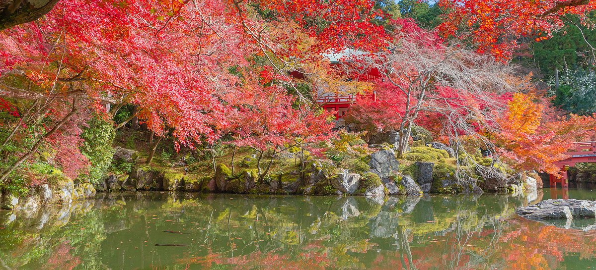 奈良県での撮影が可能なカメラマン「3L CRAFT [きままPhoto] - 齊藤 賢一」の作例画像