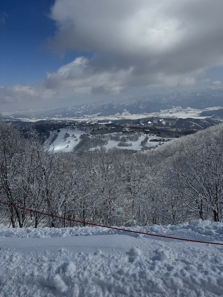 兵庫県での撮影が可能なカメラマン「平田　まこと」の作例画像
