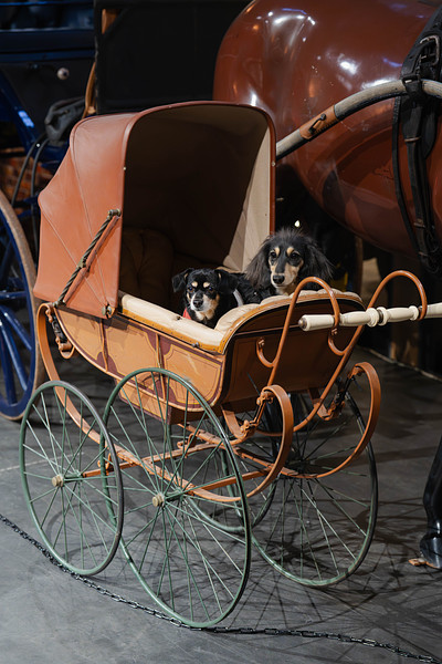 「野村　祐馬」の作例写真