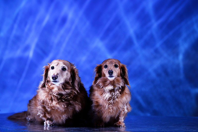 愛知県での撮影が可能なカメラマン「臼井美喜夫」の作例画像