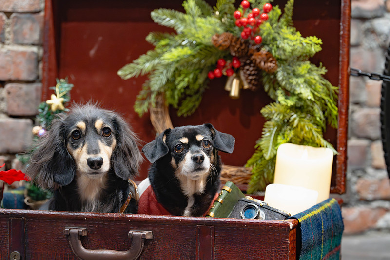 「野村　祐馬」の作例写真