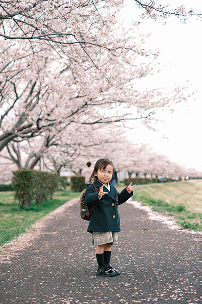 「228」の作例写真