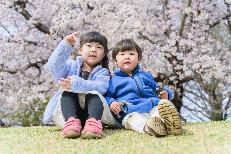 神奈川県で入学式・卒業式の撮影が可能なカメラマン「BE LIGHT FAMILY PHOTO / コイド」の作例画像