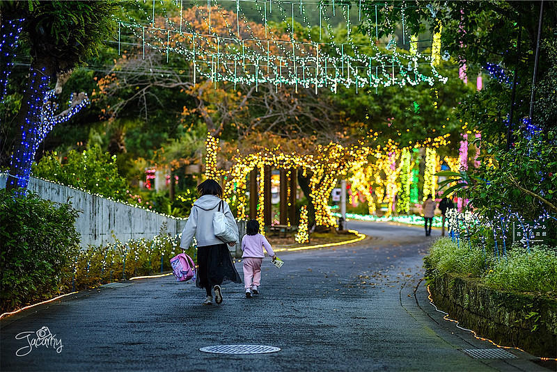 「冨岡 孝章」の作例写真