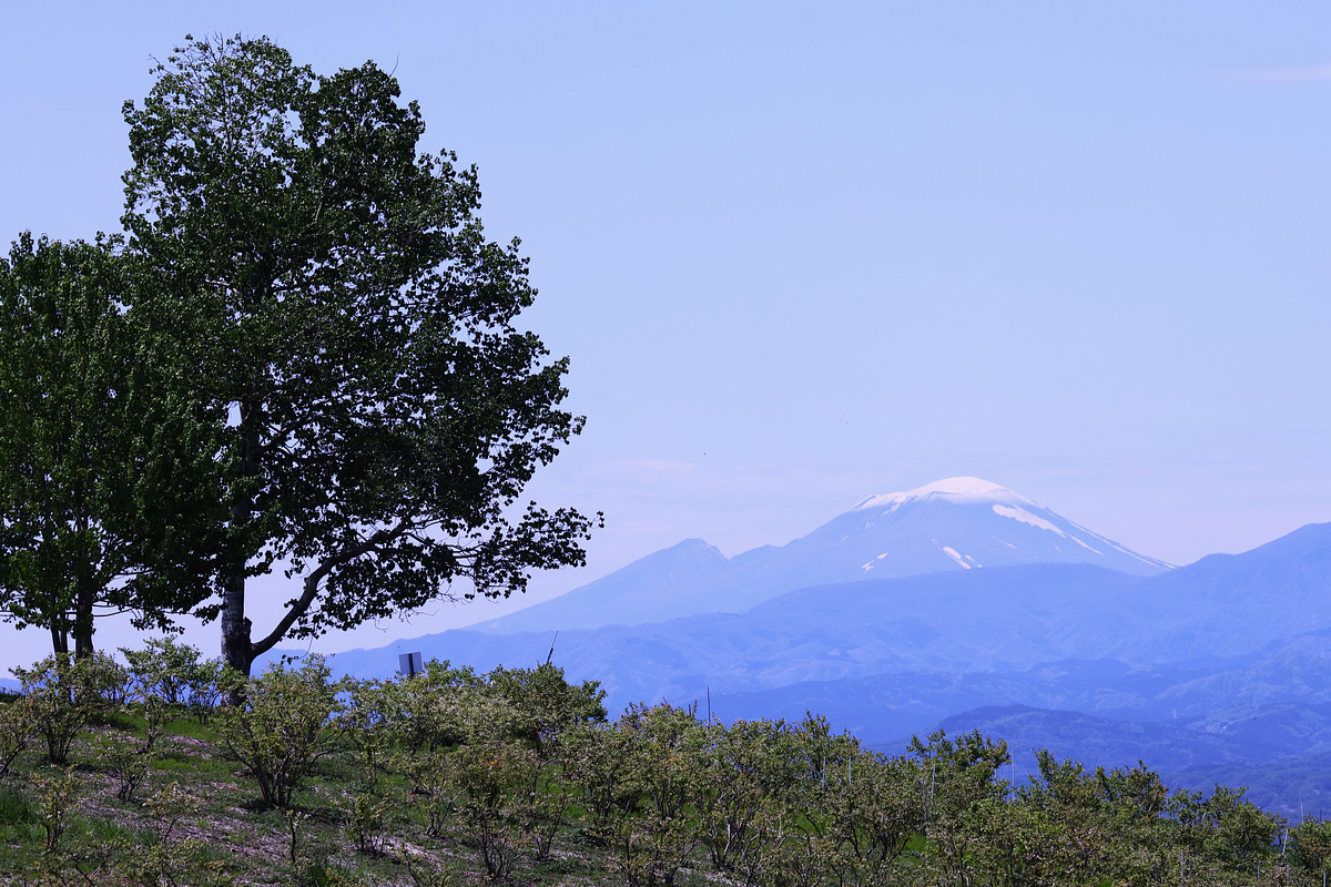 群馬県での撮影が可能なカメラマン「湯浅 憲太」の作例画像