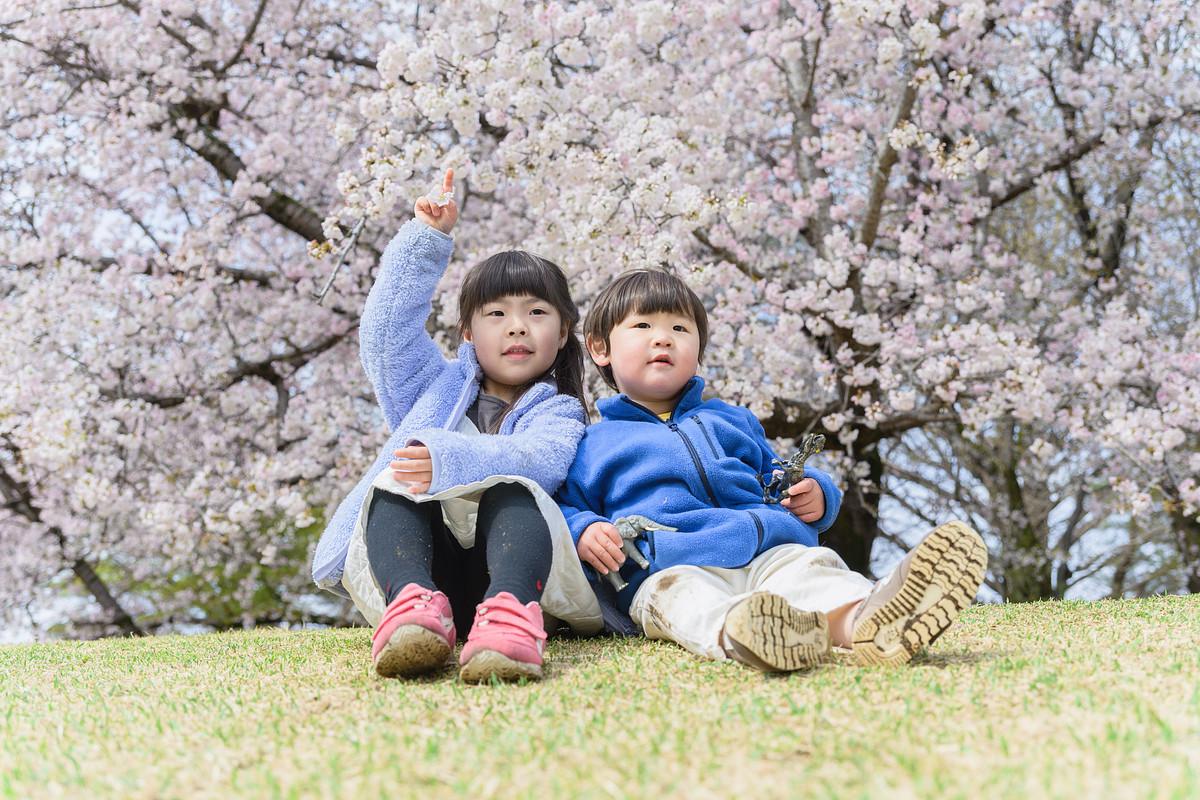 入学式・卒業式撮影プランの作例