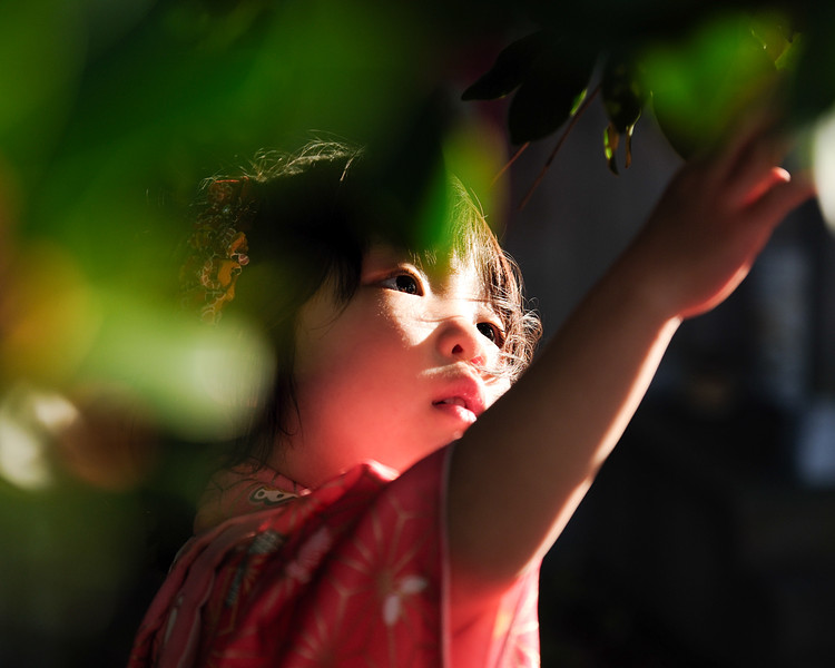 福井県で七五三の撮影が可能なカメラマン「シミズカツヤ」の作例画像