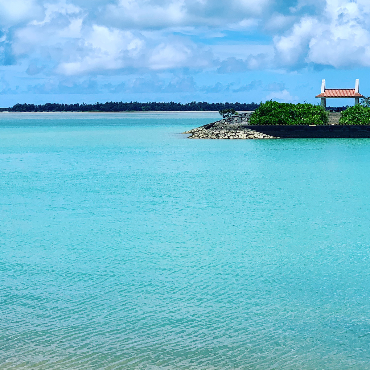 岐阜県での撮影が可能なカメラマン「山本伸吉」の作例画像