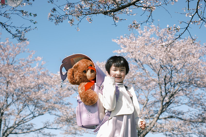 「228」の作例写真
