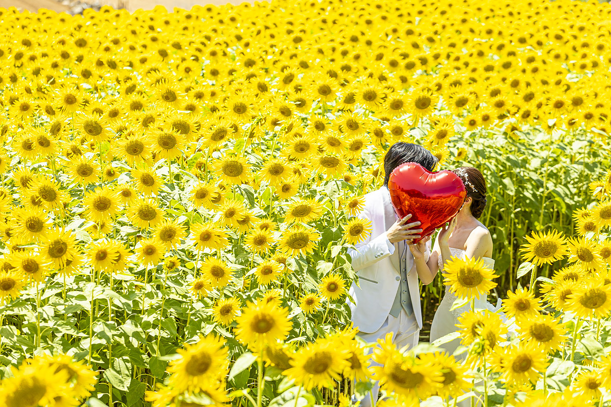 長崎県でフォトウェディングの撮影が可能なカメラマン「SORAWedding」の作例画像