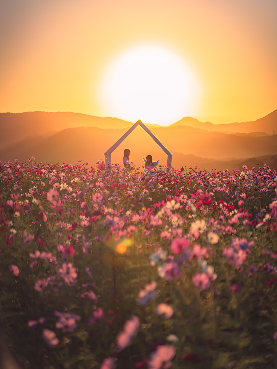 広島県での撮影が可能なカメラマン「sako」の作例画像