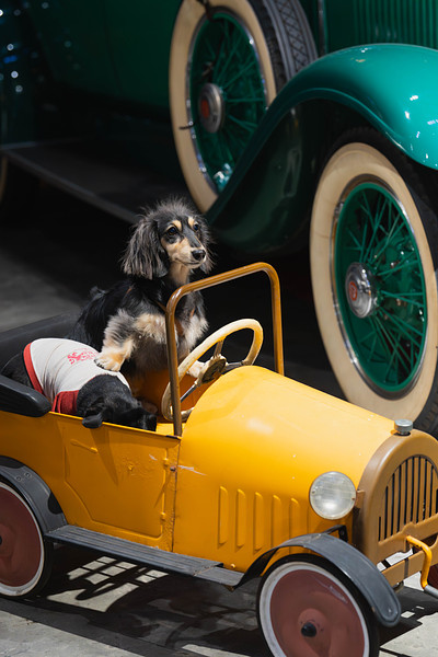 「野村　祐馬」の作例写真