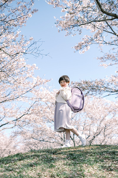 「228」の作例写真