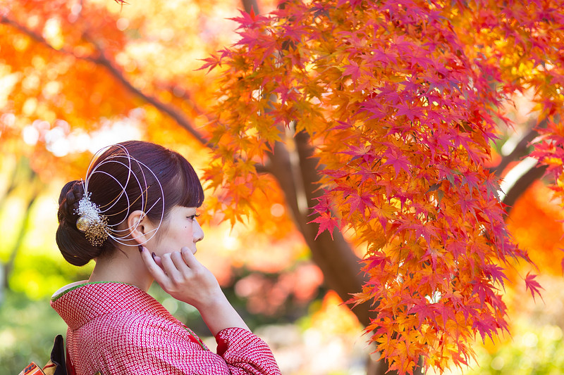 大阪府での撮影が可能なカメラマン「武田昌夫」の作例画像