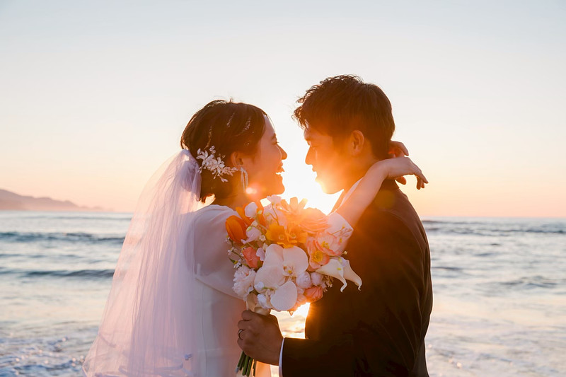 「Aloha」の作例写真