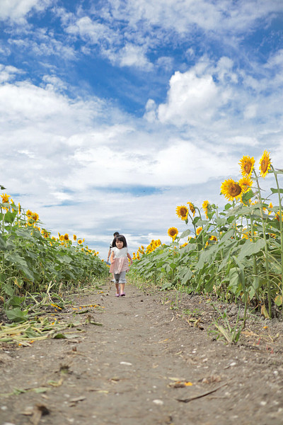 岡山県でその他の撮影が可能なカメラマン「なるみん」の作例画像