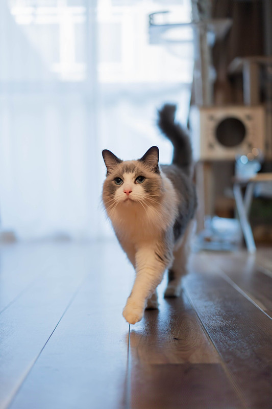 兵庫県での撮影が可能なカメラマン「野村　祐馬」の作例画像