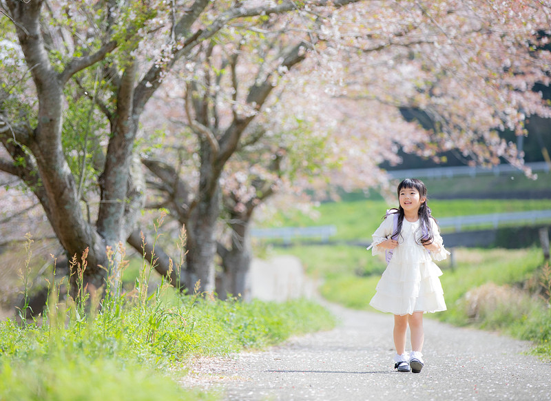 「宮本 環」の作例写真