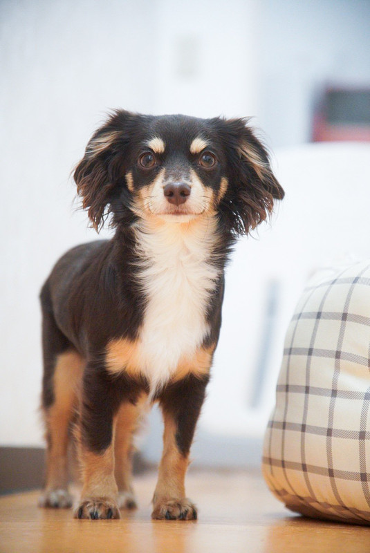 兵庫県での撮影が可能なカメラマン「野村　祐馬」の作例画像