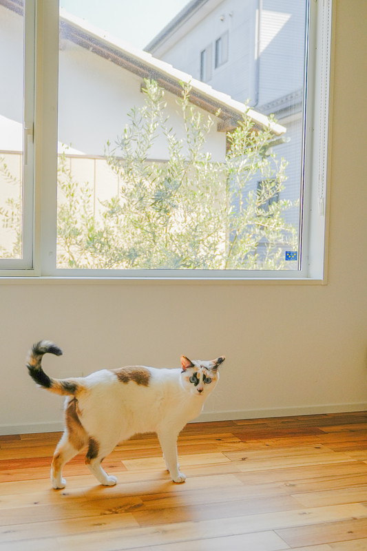 埼玉県での撮影が可能なカメラマン「笠原拓真」の作例画像