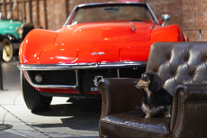 「野村　祐馬」の作例写真