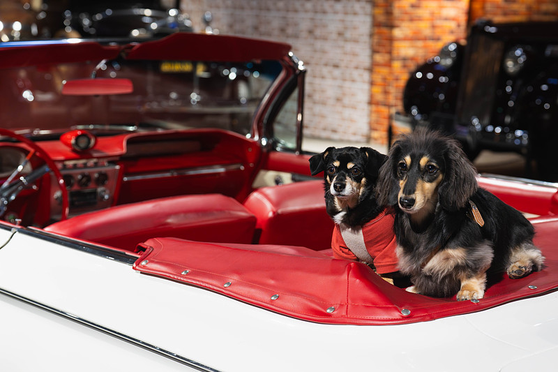 「野村　祐馬」の作例写真